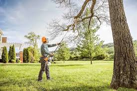 Lawn Pest Prevention in Bloomfield, IN
