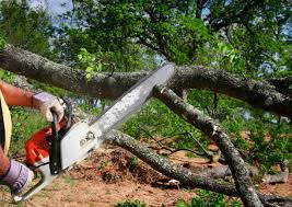 Mulching Services in Bloomfield, IN